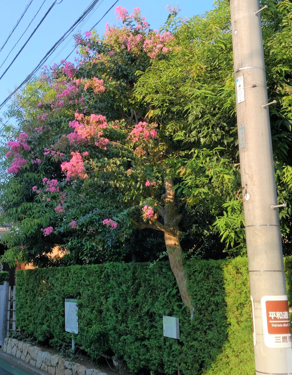 みたか散策マップ
