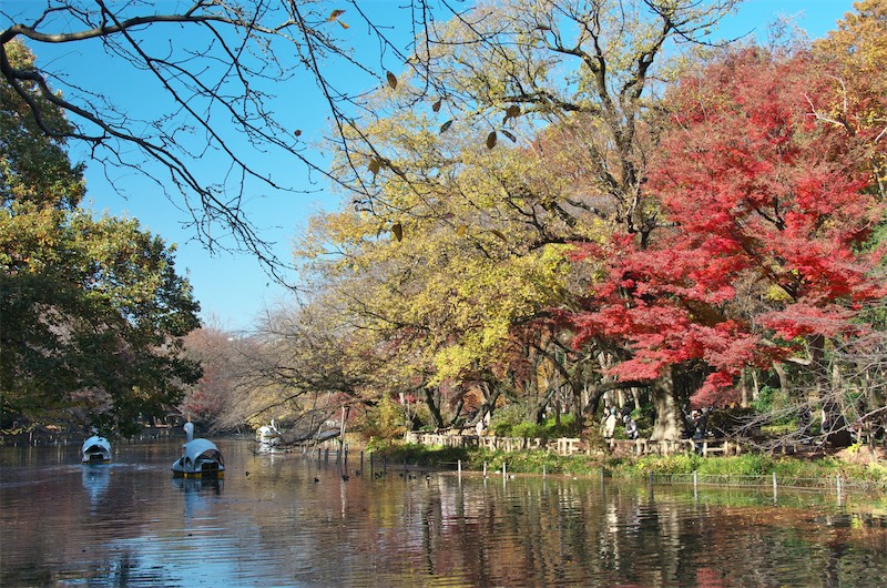 Inokashira Onshi Park