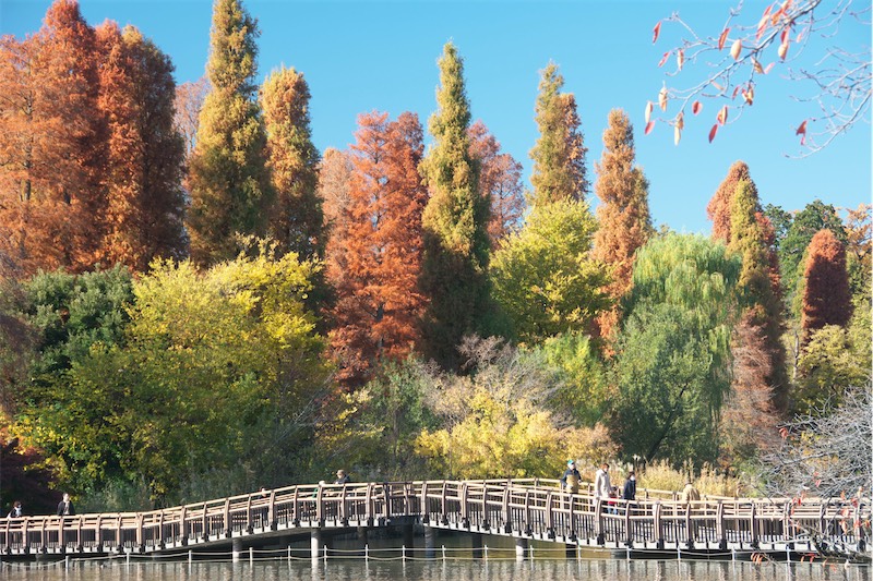 Inokashira Onshi Park