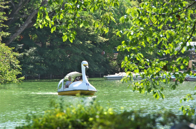 井の頭恩賜公園