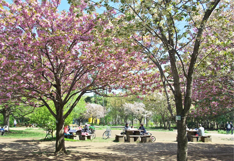 井之頭恩賜公園