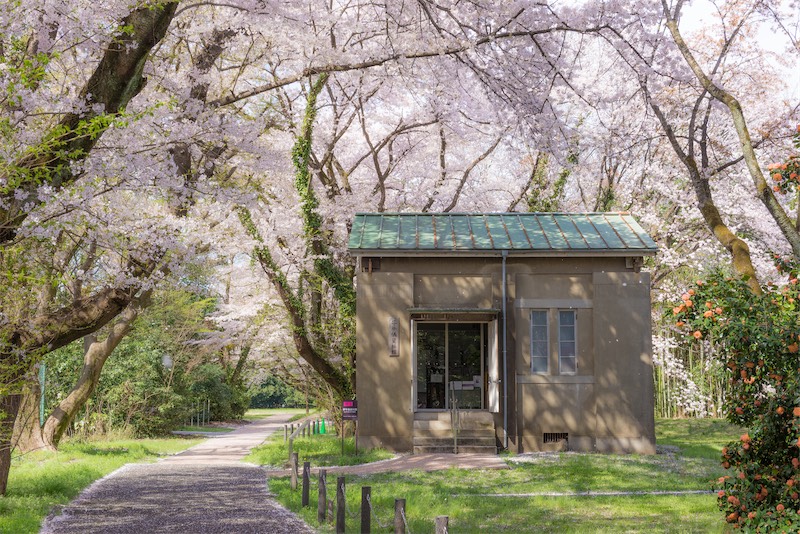 National Astronomical Observatory of Japan Mitaka Campus