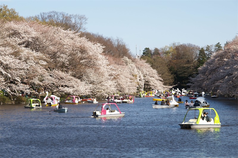 井之頭恩賜公園