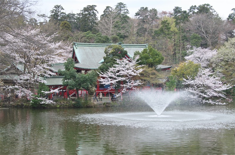 Inokashira Onshi Park